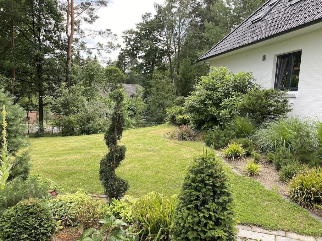 Ferienhaus Bendestorf, Waldweg 38,Naehe Hamburg ภายนอก รูปภาพ