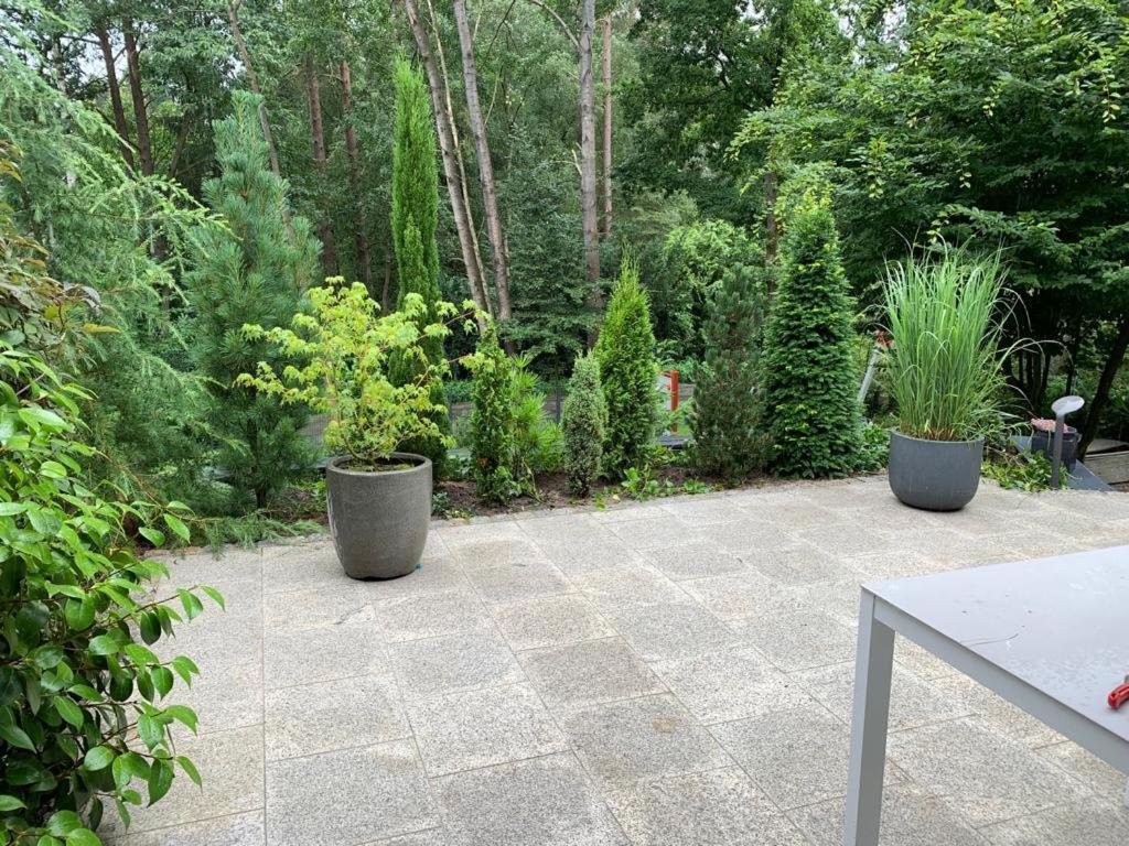 Ferienhaus Bendestorf, Waldweg 38,Naehe Hamburg ภายนอก รูปภาพ